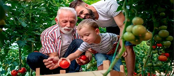 чехол для теплиц