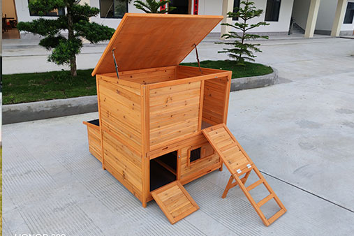 курятник